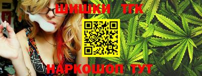 дмт Бийск