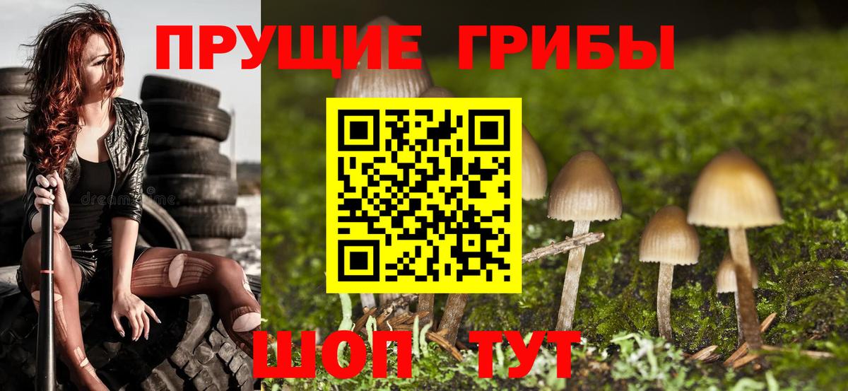 Галлюциногенные грибы прущие грибы Калуга
