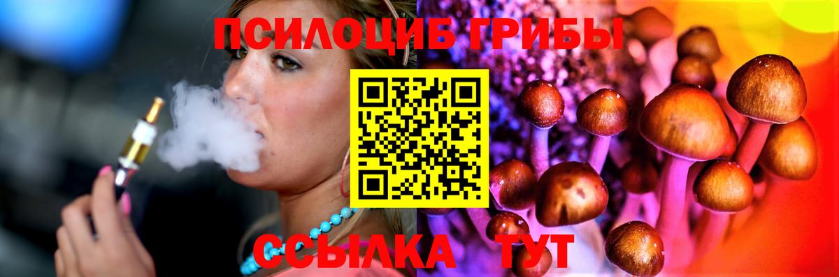 Псилоцибиновые грибы Psilocybe  Вход с VPN  Галлюциногенные грибы GOLDEN TEACHER  Калуга 